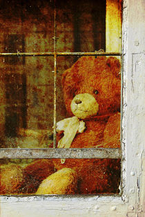 Vergessener Teddybär by Erwin Lorenzen