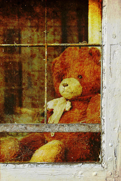 Teddy-1286