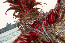 Carnevale di Venezia 2014  17 von Rolf Brecht