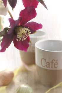 Modernes Küchenbild aus Kaffeetassen mit Blumen Flair von Tanja Riedel