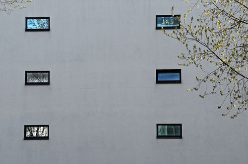 Facade-windows-photo-exhibit