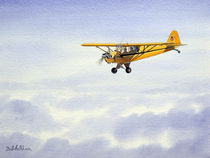 Piper J-3 Cub von bill holkham
