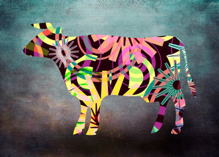 Cow-p3a-displate
