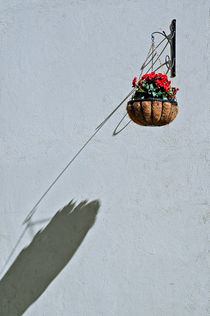 Flowers Hanger  by JACINTO TEE
