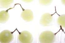 Eiskalte Weintrauben - Frozen grapes von Marc Heiligenstein