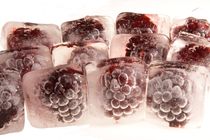 Eiskalte Brombeeren - Frozen blackberrys by Marc Heiligenstein