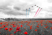 Red Arrows Tribute Selective by James Biggadike