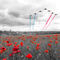 Red-arrows-tribute-selective