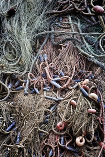 Fishnet, one by Giorgio  Perich