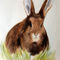 Malen-am-meer-osterhase-ostern-hase-aquarell