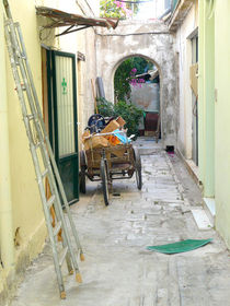 Living in Corfu von Andreas Jontsch