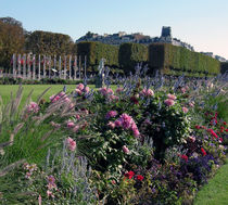 Gardens of the Palace of Versailles by Sally White