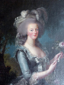 Marie Antoinette by Sally White