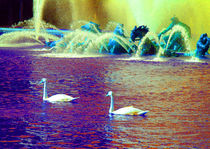 Swans in the Versailles Gardens 2 von Sally White