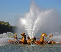 Horses Fountain in Versailles by Sally White