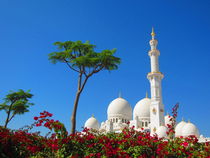 Große Moschee Abu Dhabi von sensic