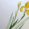 Malen-am-meer-iris-gelb-aquarell