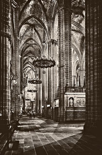 Cathedral of Santa Eulalia Barcelona by JACINTO TEE
