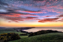 Baggy Point sunset von Dave Wilkinson