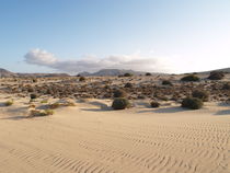 Desert landscape von Jake Ratz