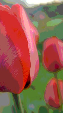 Tulips von lucylaube