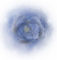 Wh-spil-090211-59-blue-rose