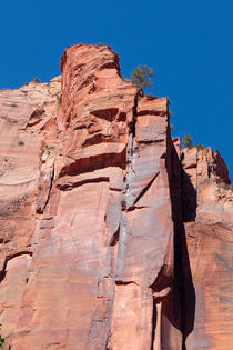 Sheer Canyon Walls von John Bailey