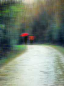 'Walk In The Rain' by florin