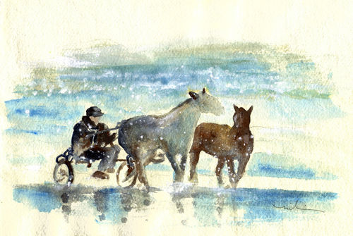 Horse-carriage-on-the-beach-m