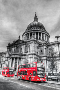 St Paul's Cathedral London  by David Pyatt