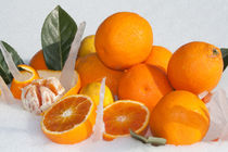 oranges and lemons on snow von bruno paolo benedetti