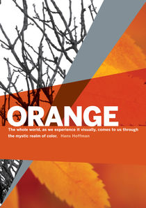 Colour Me Orange by Rene Steiner