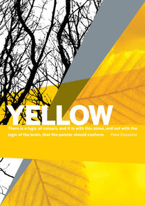 Colour Me Yellow von Rene Steiner