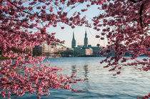 Hamburg im Frühling V von elbvue von elbvue