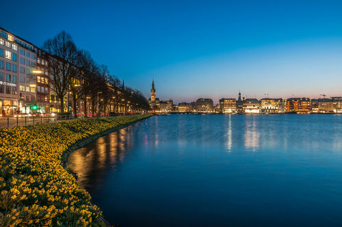 Springalster5roh