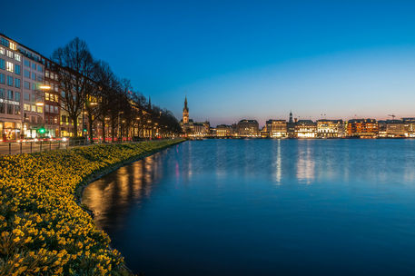 Springalster5roh