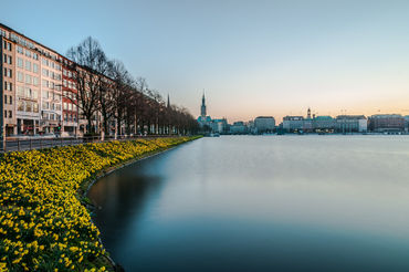 Springalster6roh