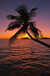 palmtree by sunset by B. de Velde