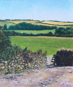 Painting-colourful-fields-on-a-farm-in-devon-uk