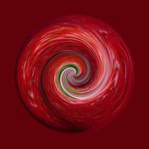 Strawberry ripple by Robert Gipson