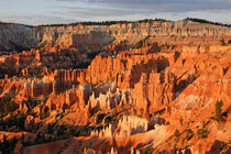 Bryce Canyon by B. de Velde