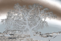 Oak Tree in a Pale Dream by Sally White