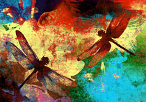 Dragonflies and Orchids von vitta