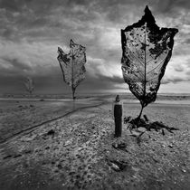 Leaf me alone by Dariusz Klimczak