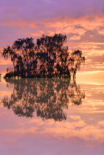 Sunset in reflection by Robert Gipson
