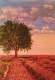 'Die Farben der Provence' by Rena Rady