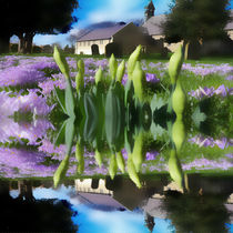 Church flowers in reflection by Robert Gipson