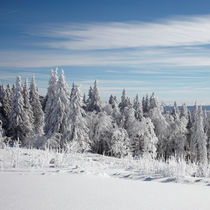 Winter im Schwarwald von Rainer Rombach