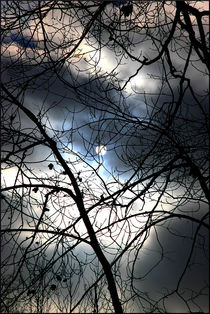 Moon or Sun? by Valentino Visentini