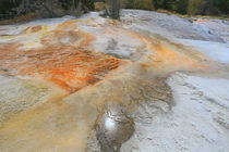 Yellowstone von Vadim Smirnov